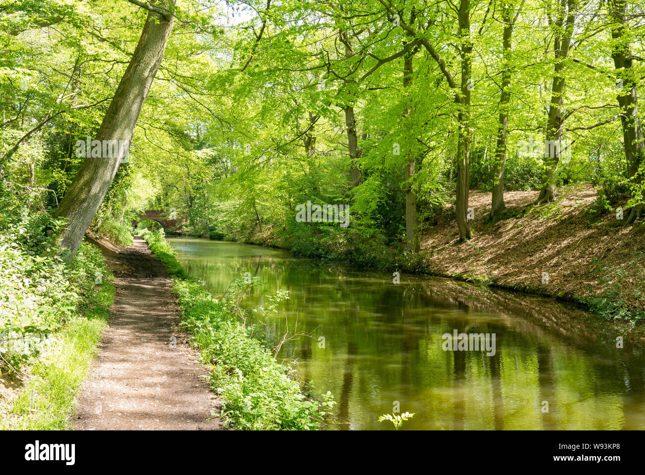 Basingstoke Canal near Winchfield Hampshire Stock Photo