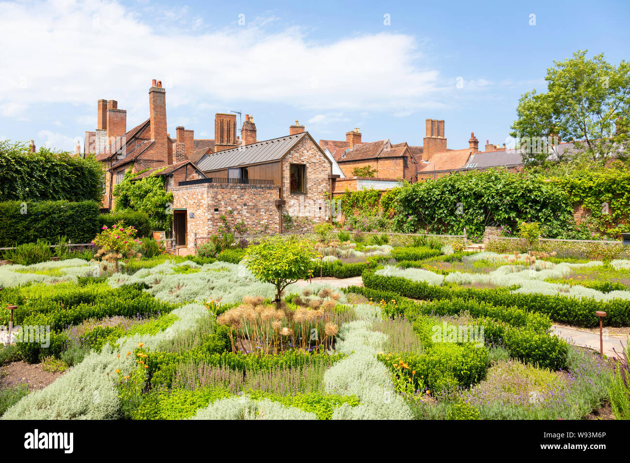 Plants of new england hi-res stock photography and images - Alamy