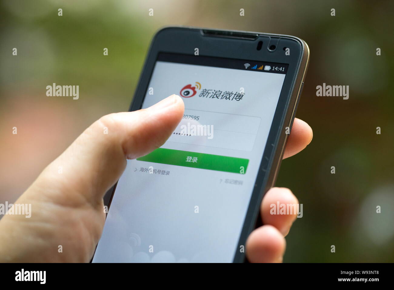 A Chinese woman uses Weibo, the Twitter-like microblogging service of Sina.com, on her smartphone in Guangzhou city, south Chinas  Guangdong province, Stock Photo