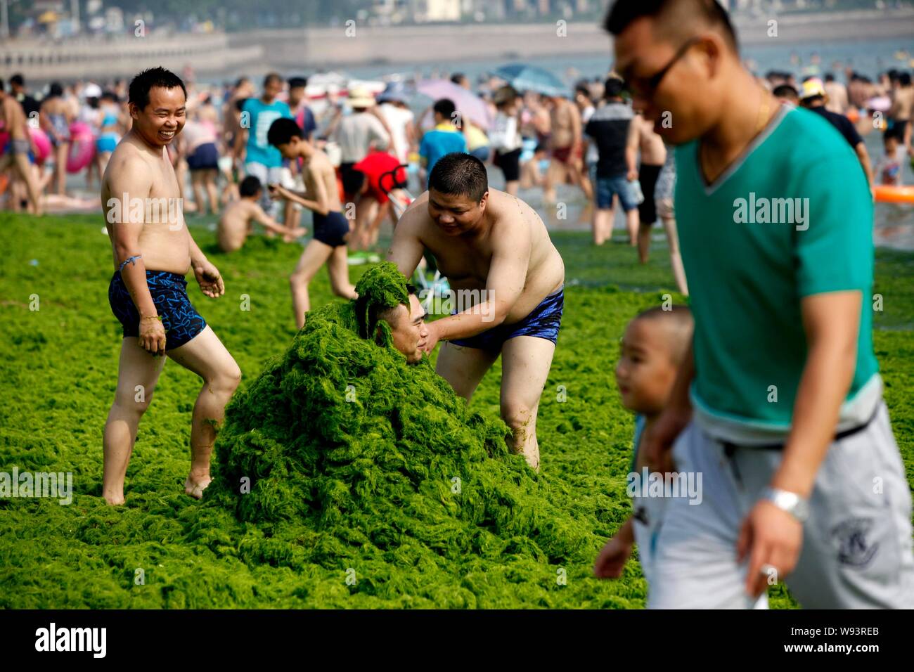 Китайские водоросли. Водоросли Китай. Китайский пляж. Человек в водорослях. Пляж в Китае.