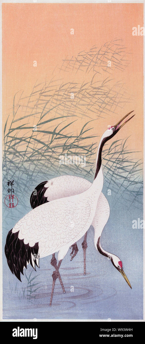 Two Cranes, a colour woodcut by Japanese artist Ohara Koson, 1877 - 1945. Stock Photo