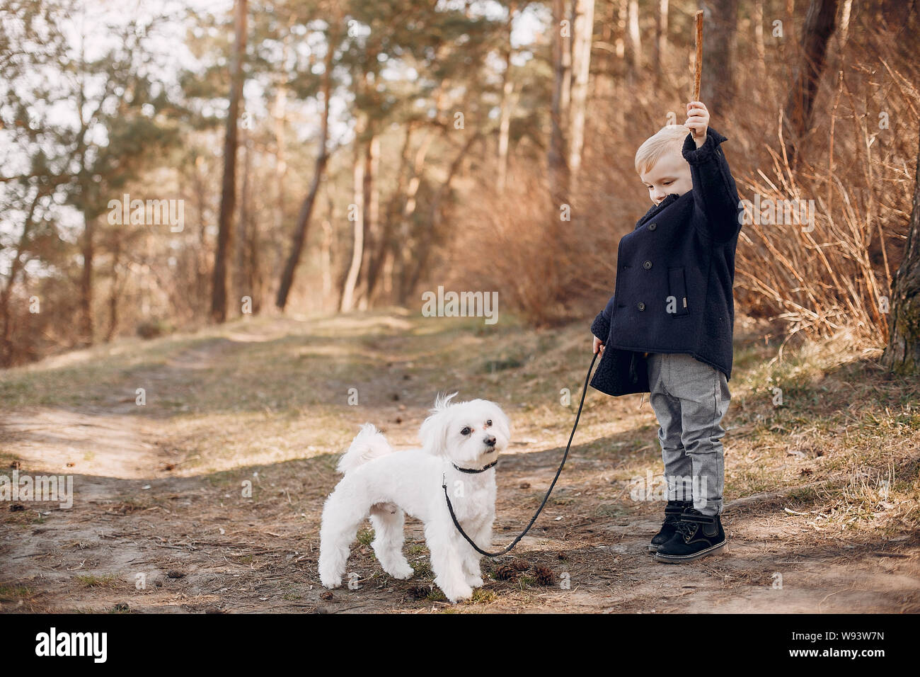 Little boy in a park playing with a dog Stock Photo - Alamy