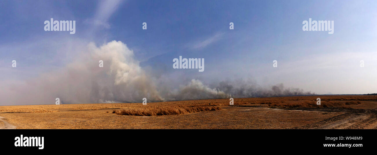 A bushfire rages across the grasslands of the Katisunga Floodplain in Katavi National Park. Stock Photo