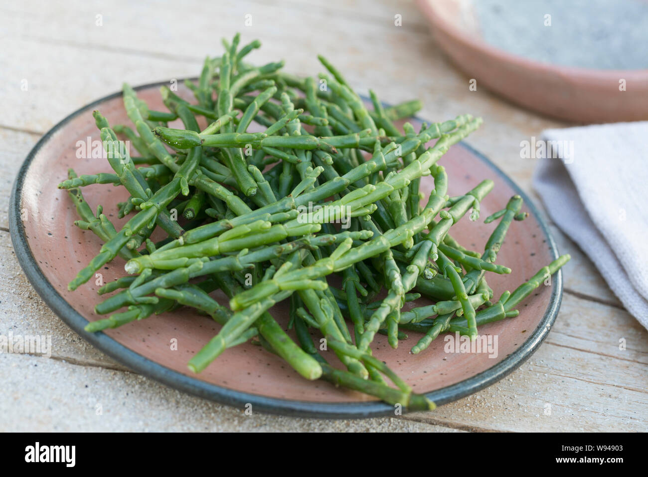 Queller-Salat, Quellersalat, Salat, Queller, Europäischer Queller, Salicornes, Meeresspargel, Glasschmalz, Salicornia europaea, Salicornia europaea ag Stock Photo