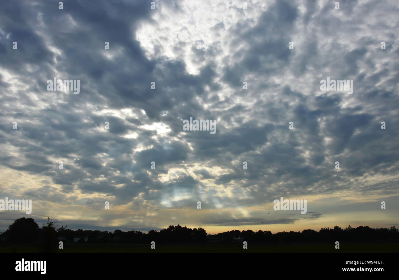 silhouette of paddy field on sunrise Stock Photo - Alamy