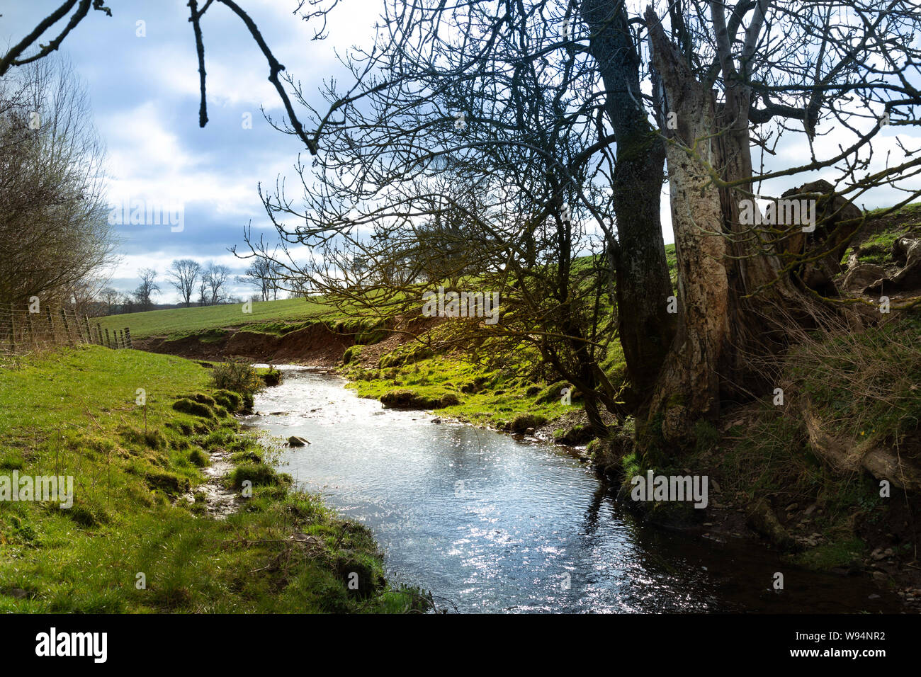 View of the River Leader in Lauder on the Scottish border. Scotland Stock Photo Alamy