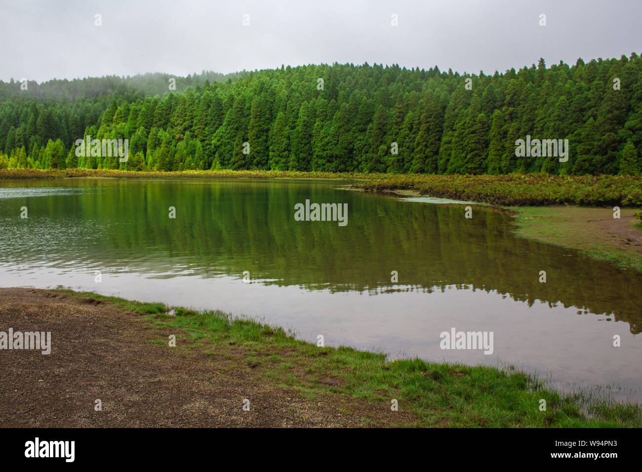 view over Lagoa Do Canario on the island of Sao Miguel, Azores