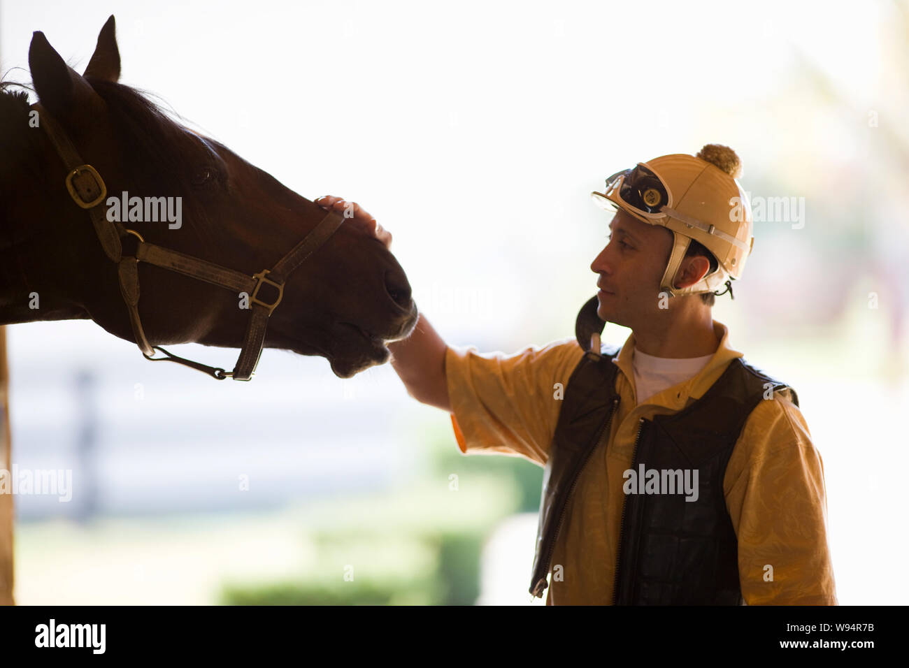 Styroking Stroking horses nose hi-res stock photography and images - Alamy