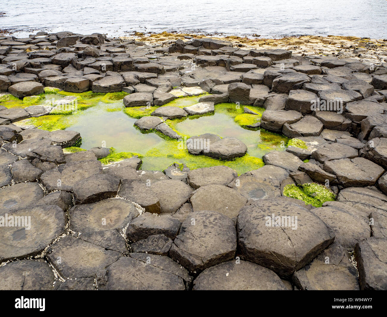 Giant’s Causeway, famous tourist attraction of Northern Ireland, UK. Unique hexagonal and pentagonal geological formations of volcanic basalt rocks. Stock Photo