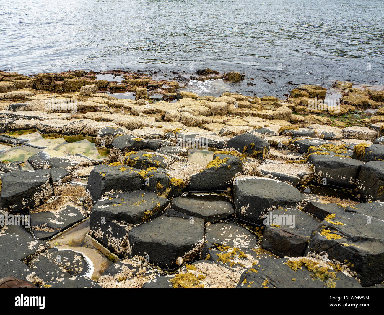 Giant’s Causeway, famous tourist attraction of Northern Ireland, UK