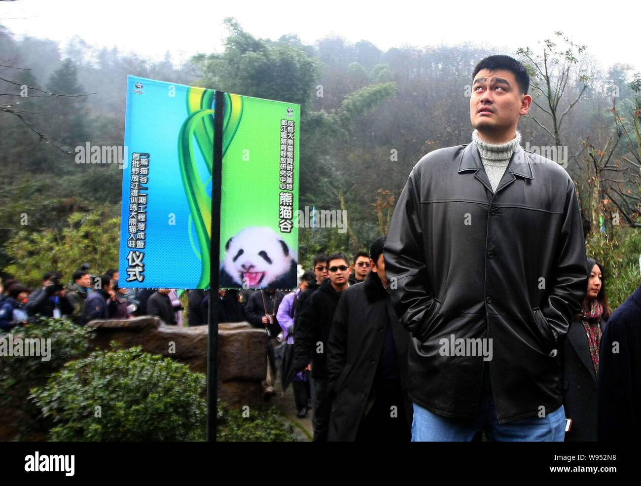 Retired Chinese basketball superstar Yao Ming is pictured at the Chengdu Research Base of Giant Panda Breeding in Chengdu city, southwest Chinas Sichu Stock Photo