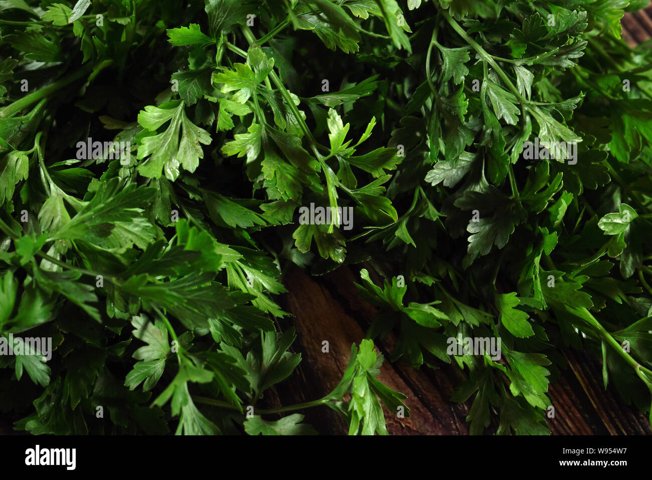 Bunch of fresh green parsley leaves on dark background Stock Photo - Alamy