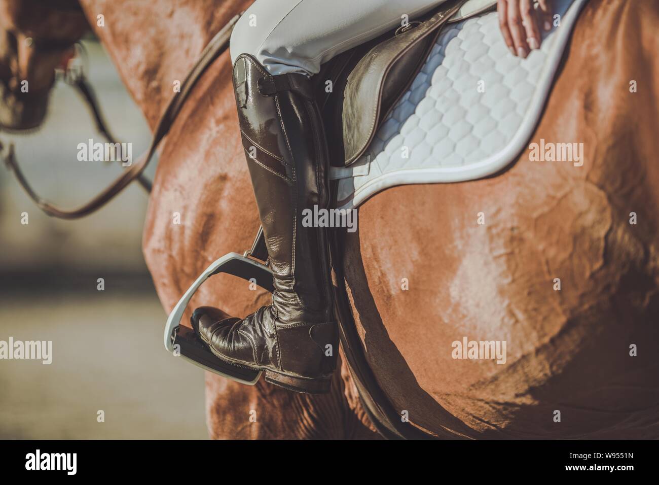 Horse Riding Stirrups and Shoes. Equestrian Accessories and Equipment. Closeup Photo. Stock Photo