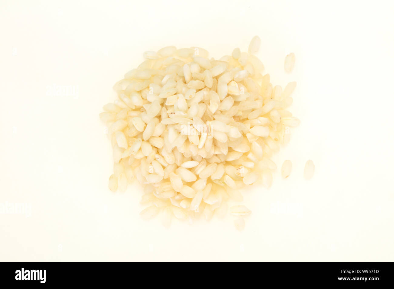 Roseto Rice Raw Arborio rice for Italian Risotto Stock Photo - Alamy