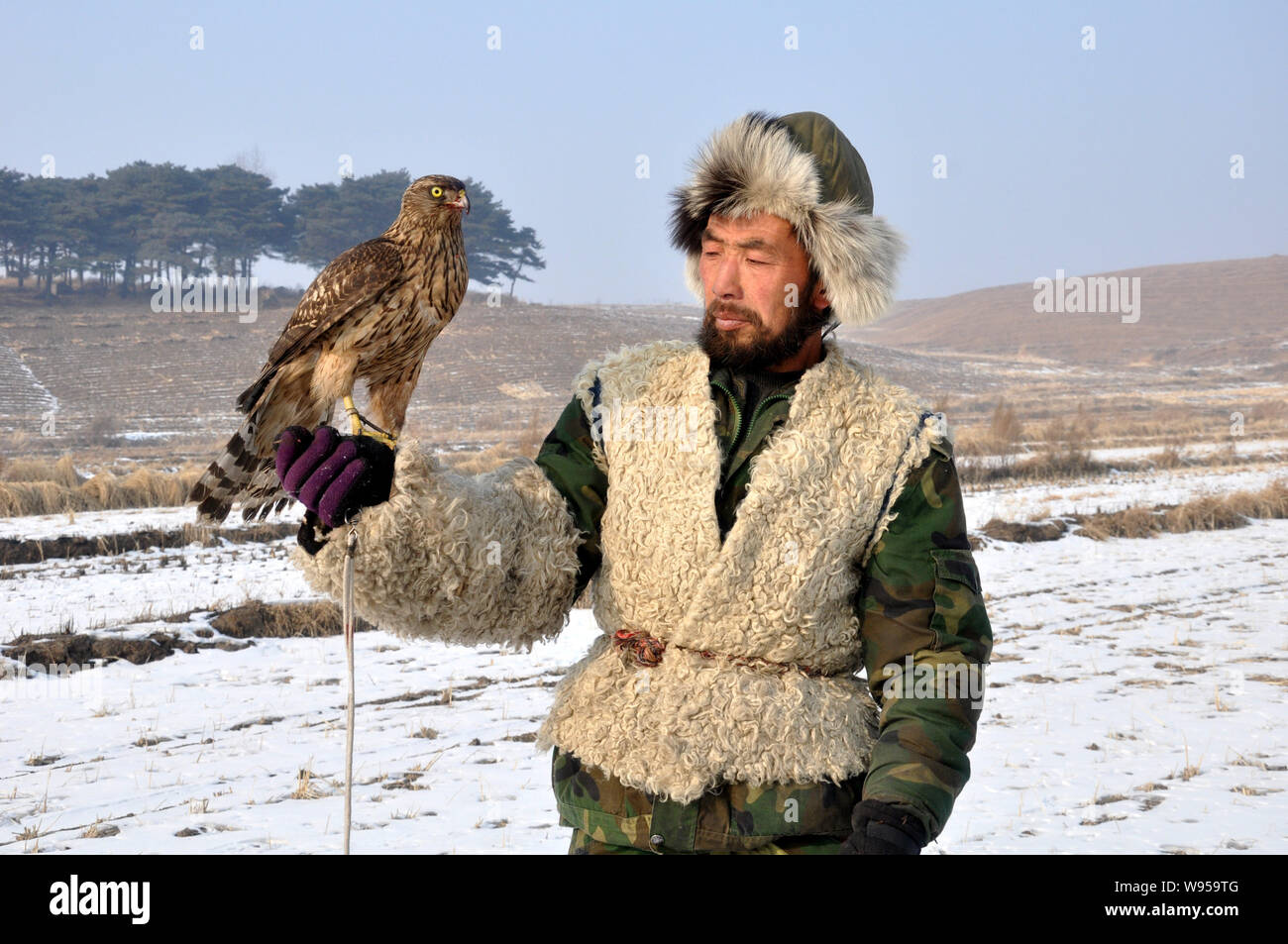 a-chinese-hunter-shows-his-falcon-during