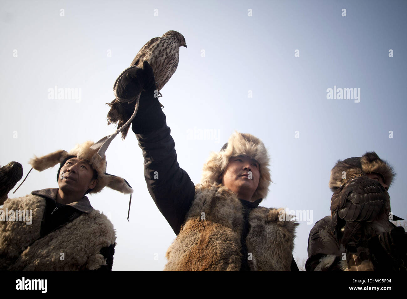 Chinese hunters show their falcons during the Second Manchu Falcon
