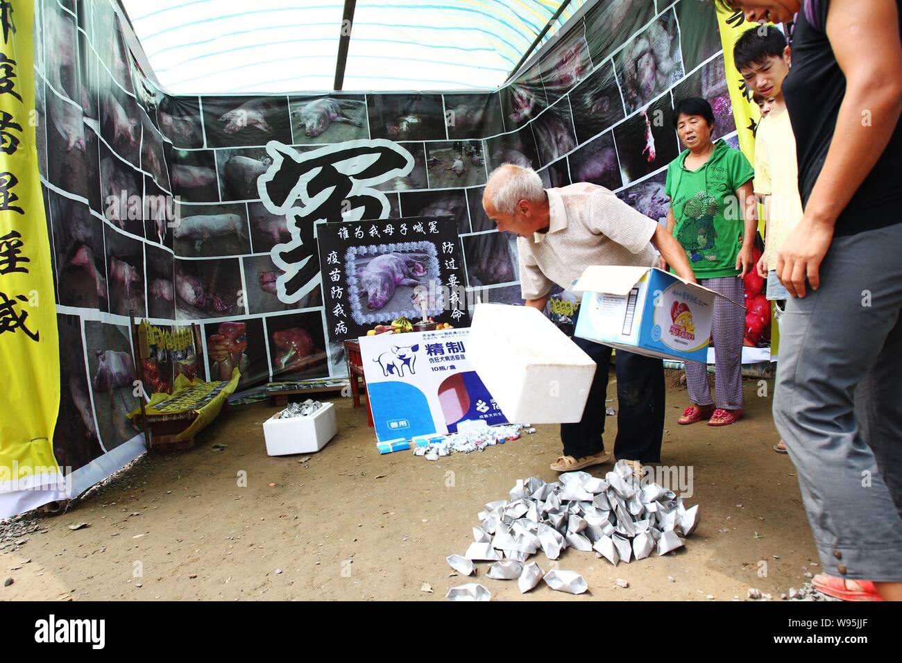 A family member, left, of Chinese pig farmer Qin Jinzhou prepares tinfoils to mourn during a funeral for more than 3,000 pigs which died from vaccinat Stock Photo