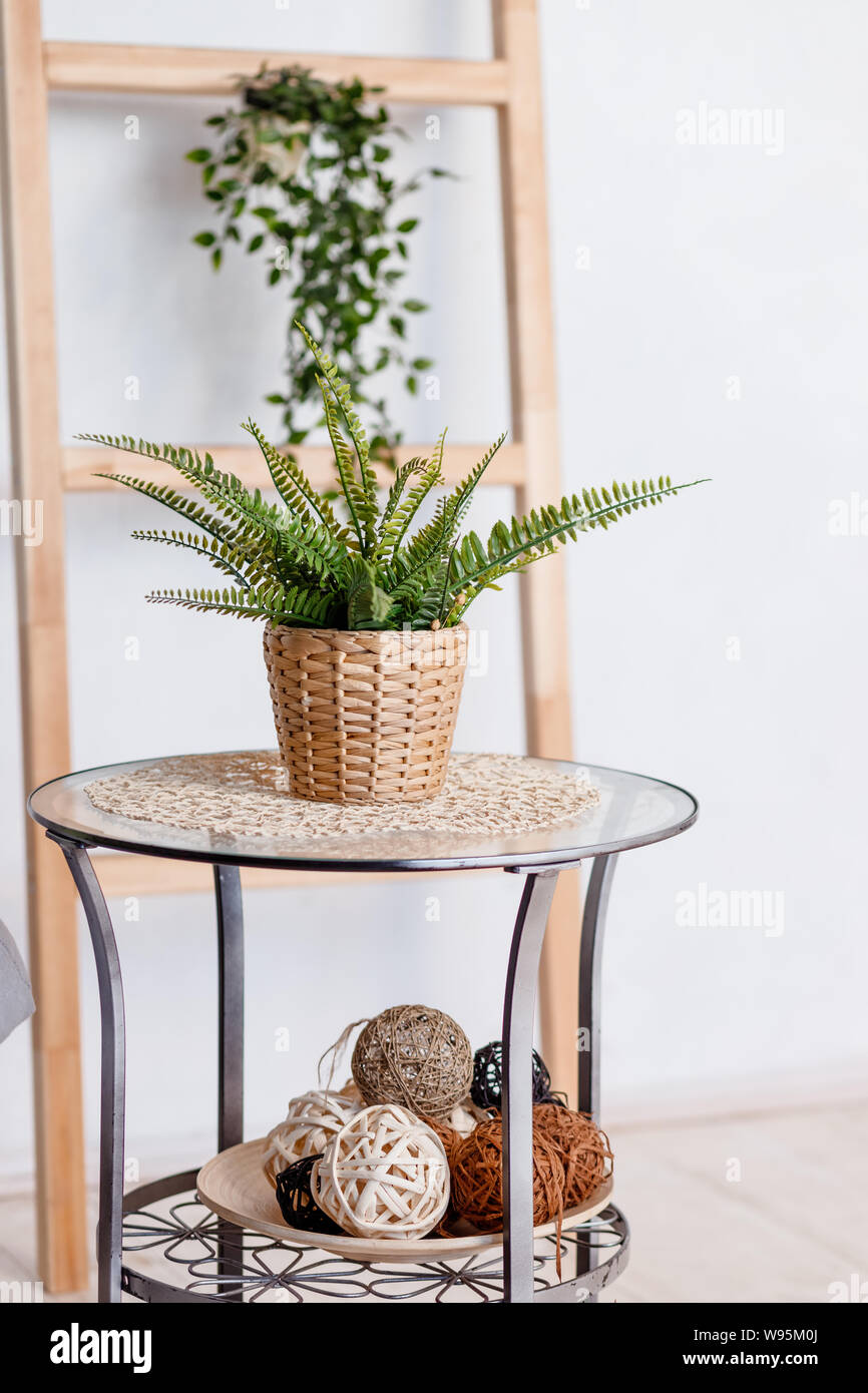 Stylish Minimalistic Small Glass Table House Plant Copy
