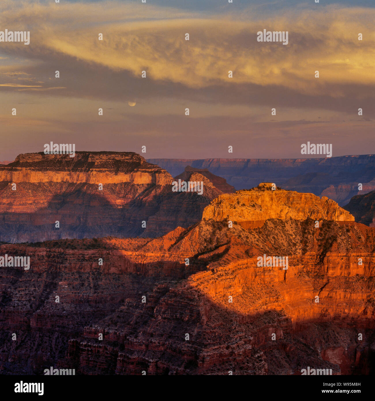 My Image 34