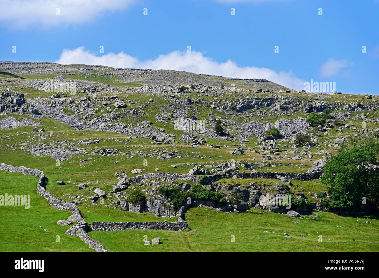 The Southern slopes of Norber. Austwick, Yorkshire Dales National Park, Craven, North Yorkshire, England, United Kingdom, Europe. Stock Photo