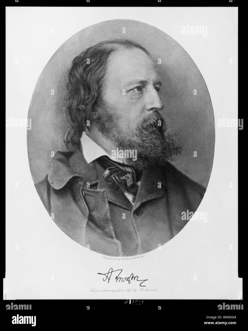 Alfred Lord Tennyson, bust portrait, facing right Stock Photo