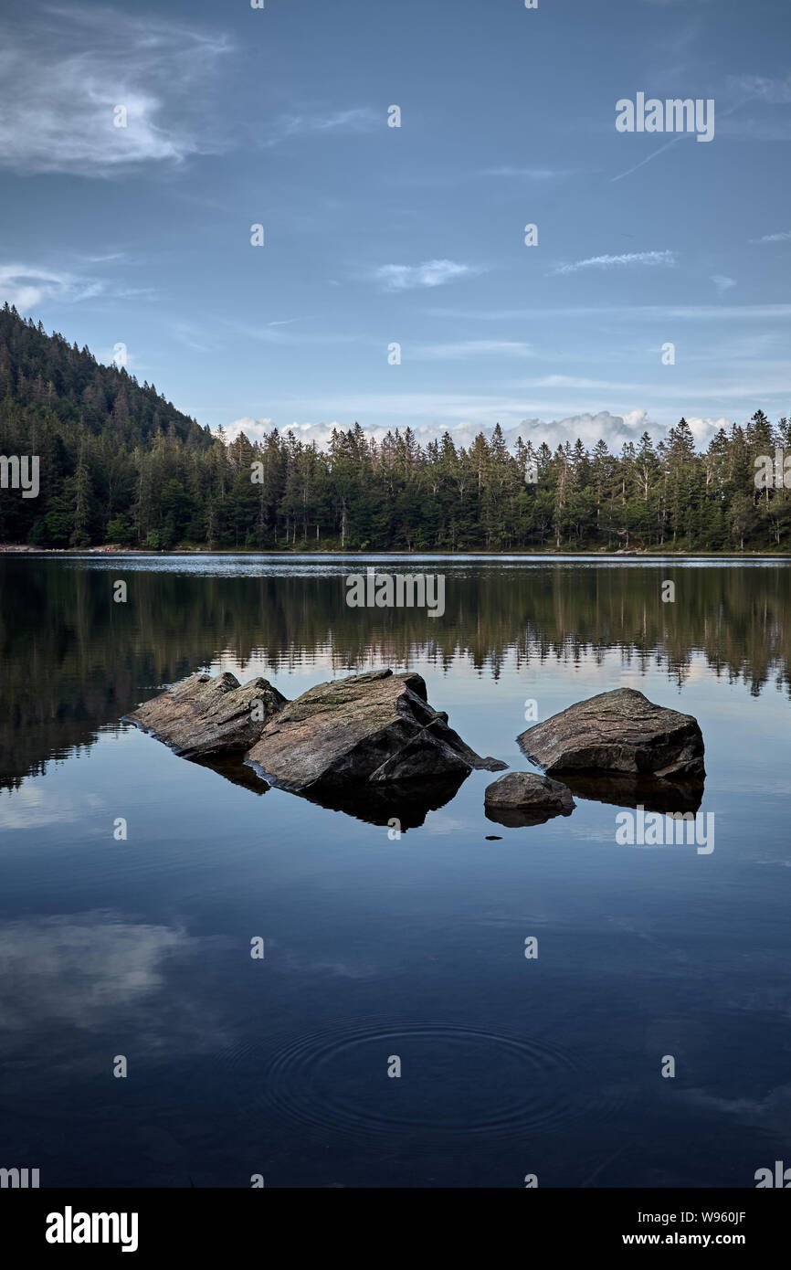 Beautiful and serene lake Feldsee at Feldberg in the Black Forest, Germany Stock Photo