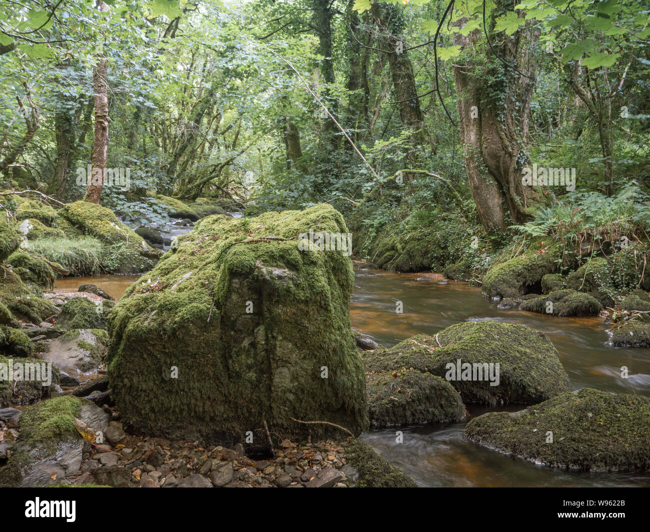 Afon brynberian river hires stock photography and images Alamy