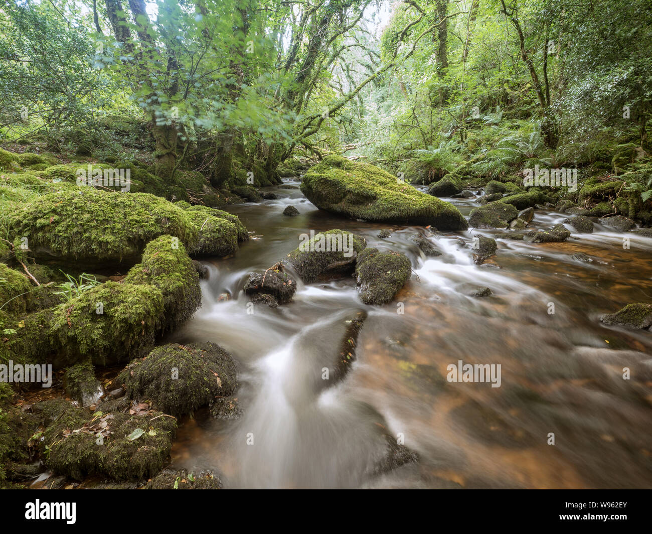 Afon brynberian river hires stock photography and images Alamy