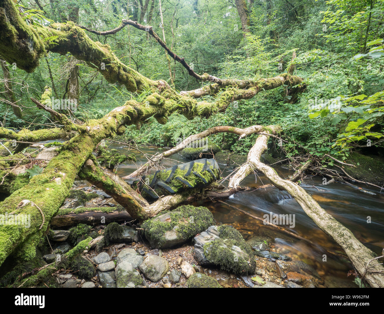 Afon brynberian river hires stock photography and images Alamy
