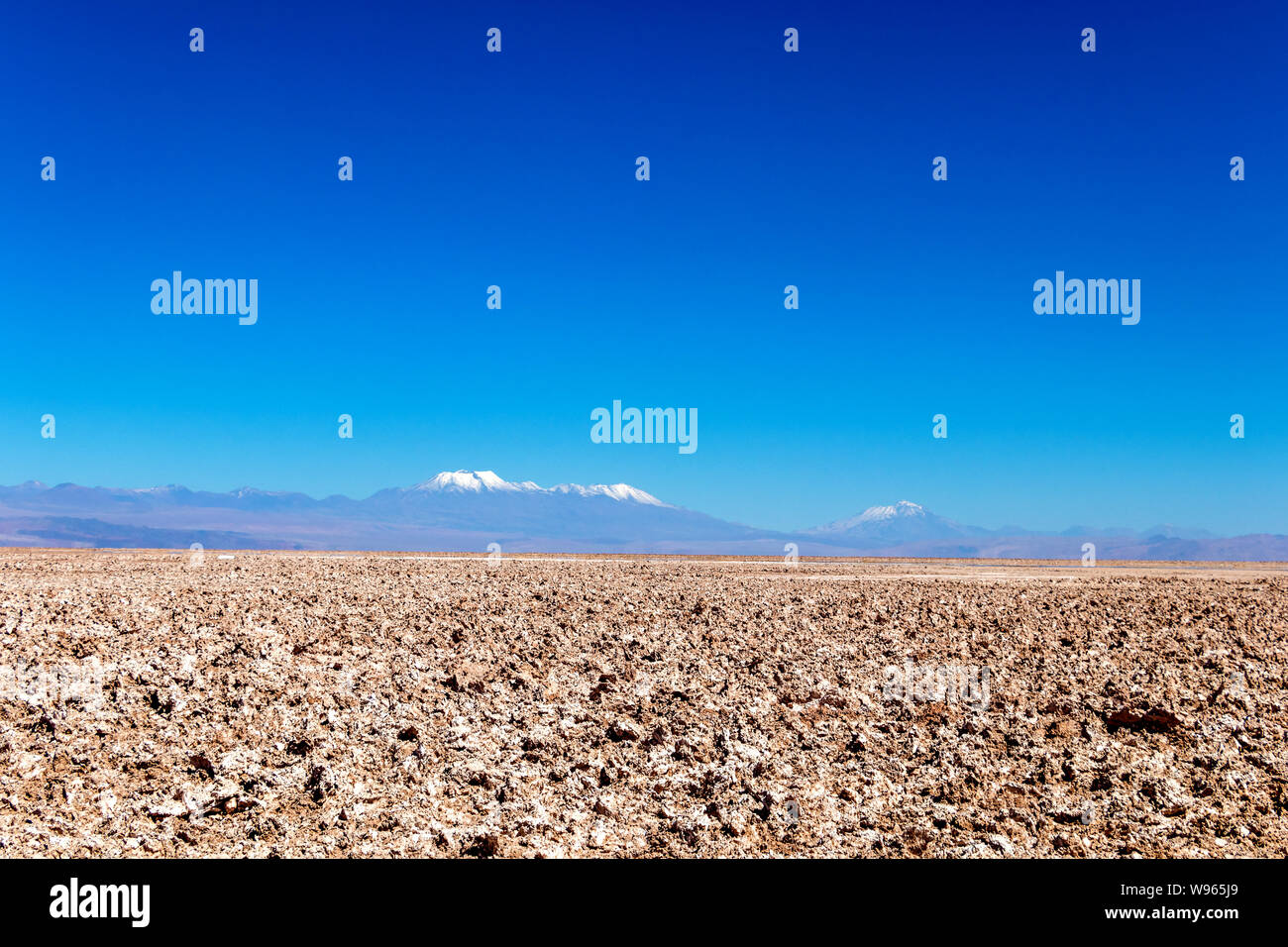 Chaxa Lake (Laguna Chaxa) with reflection of surroundings and blue sky in Salar of Atacama, Chile Stock Photo