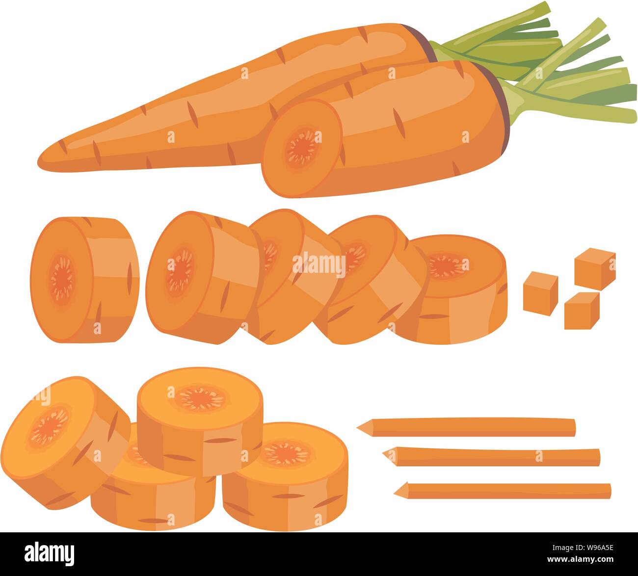 Set various whole and chopped vegetables Vector Image