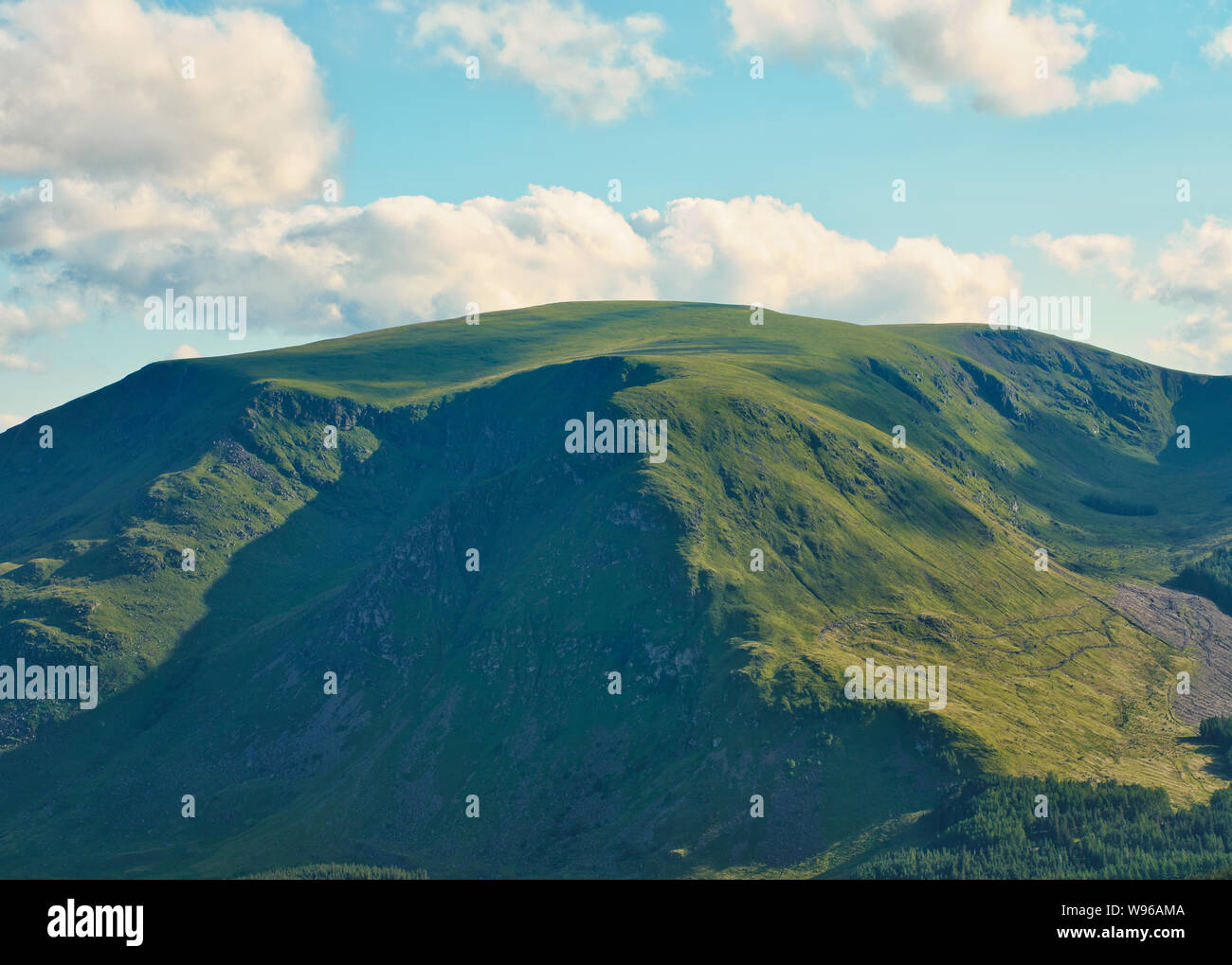 Driesh Hi res Stock Photography And Images Alamy driesh-hi-res-stock-photography-and-images-alamy