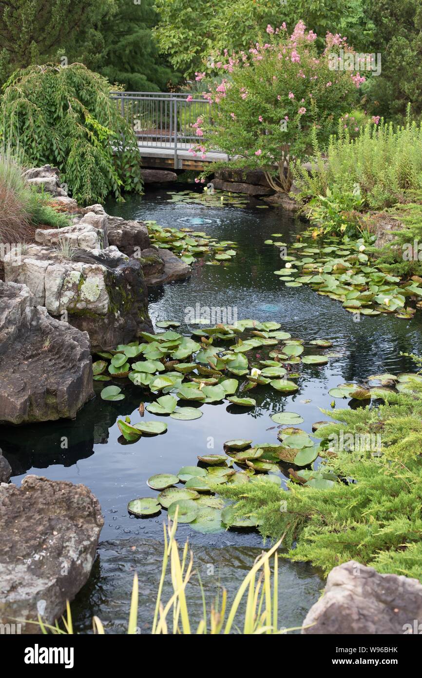 A Section Of The Water Garden At The Botanical Garden Of The