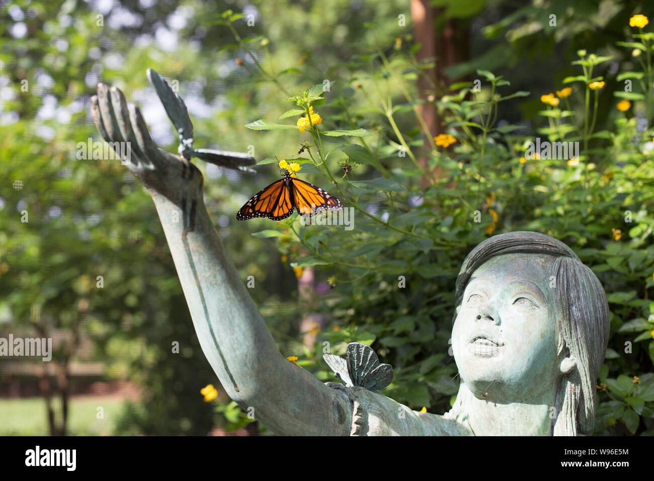 The Butterfly Garden At The Botanical Garden Of The Ozarks In