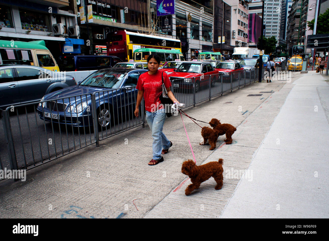 A Woman Walks Pet Dogs Past Cars Moving Slowly On A Road In Hong Kong China 27 June 2012 Chinas State Council Or The Cabinet Announced In Late Stock Photo Alamy