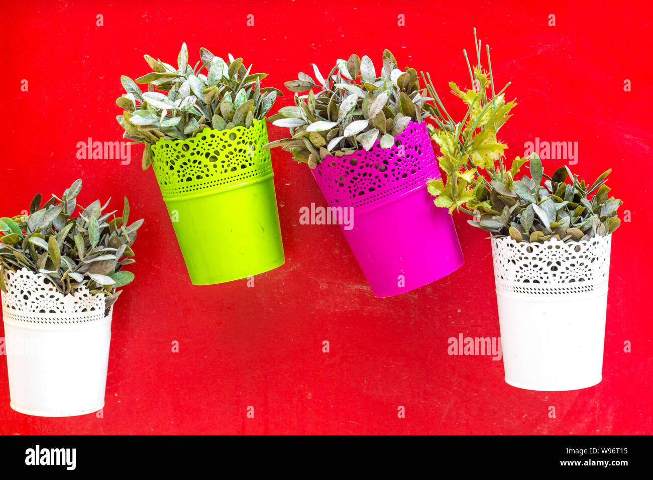 Flowers in flower pots on a red background. Flower pots are made of iron and painted in red, green and white. Not a large garden in the interior of th Stock Photo