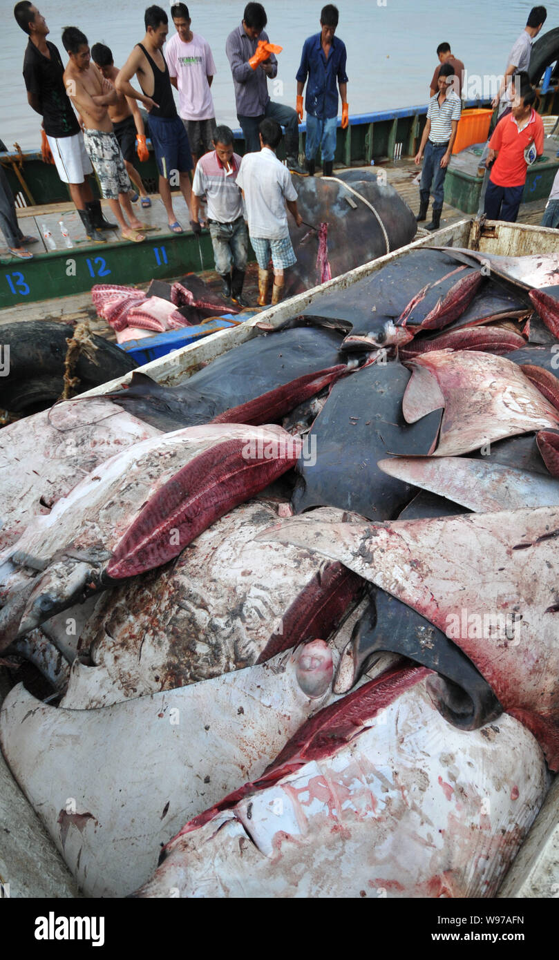 Stingray meat hi-res stock photography and images - Alamy