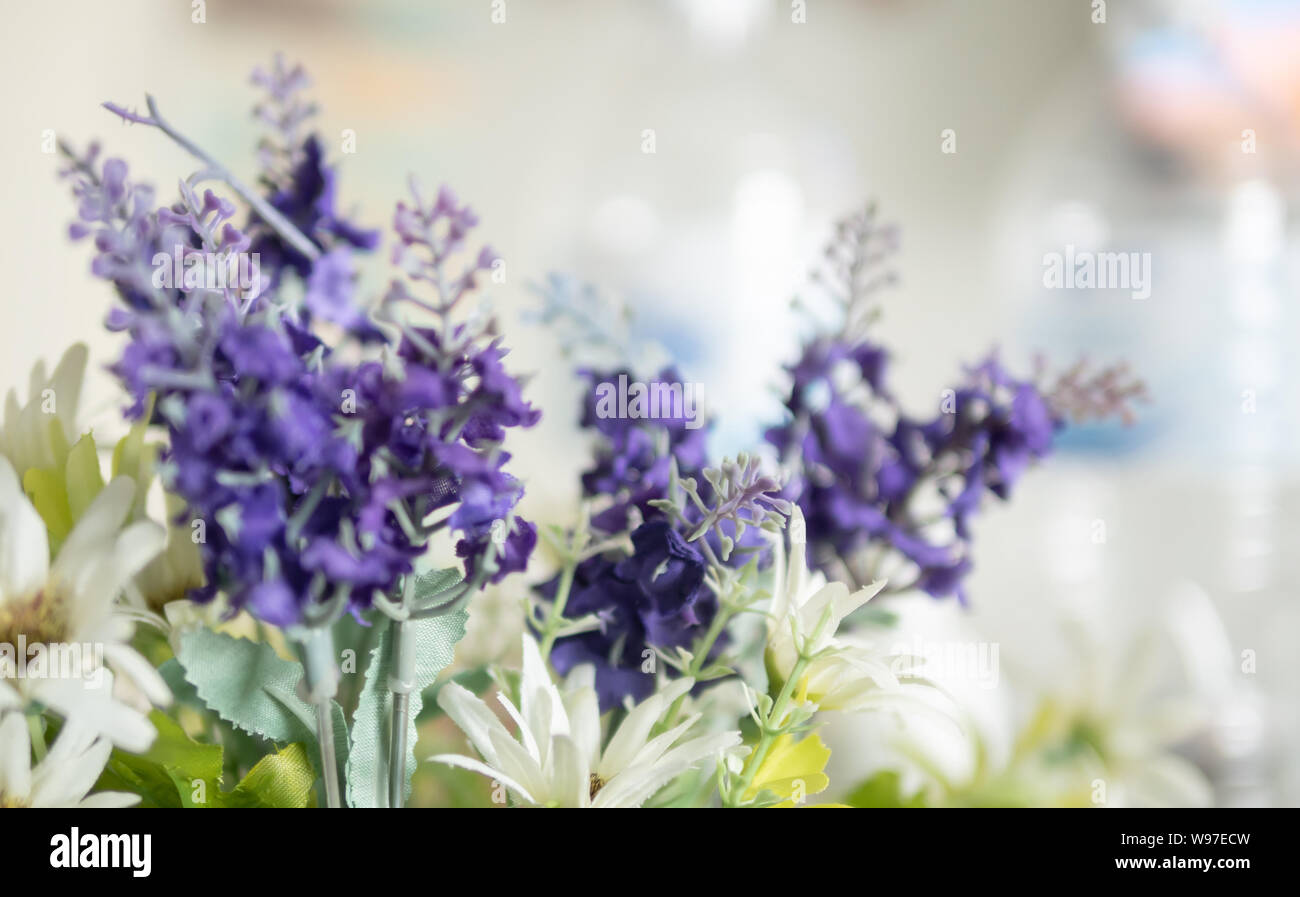 Close up blurred purple lavender and white flowers. Blooming of fake flower with copy space for text. Stock Photo