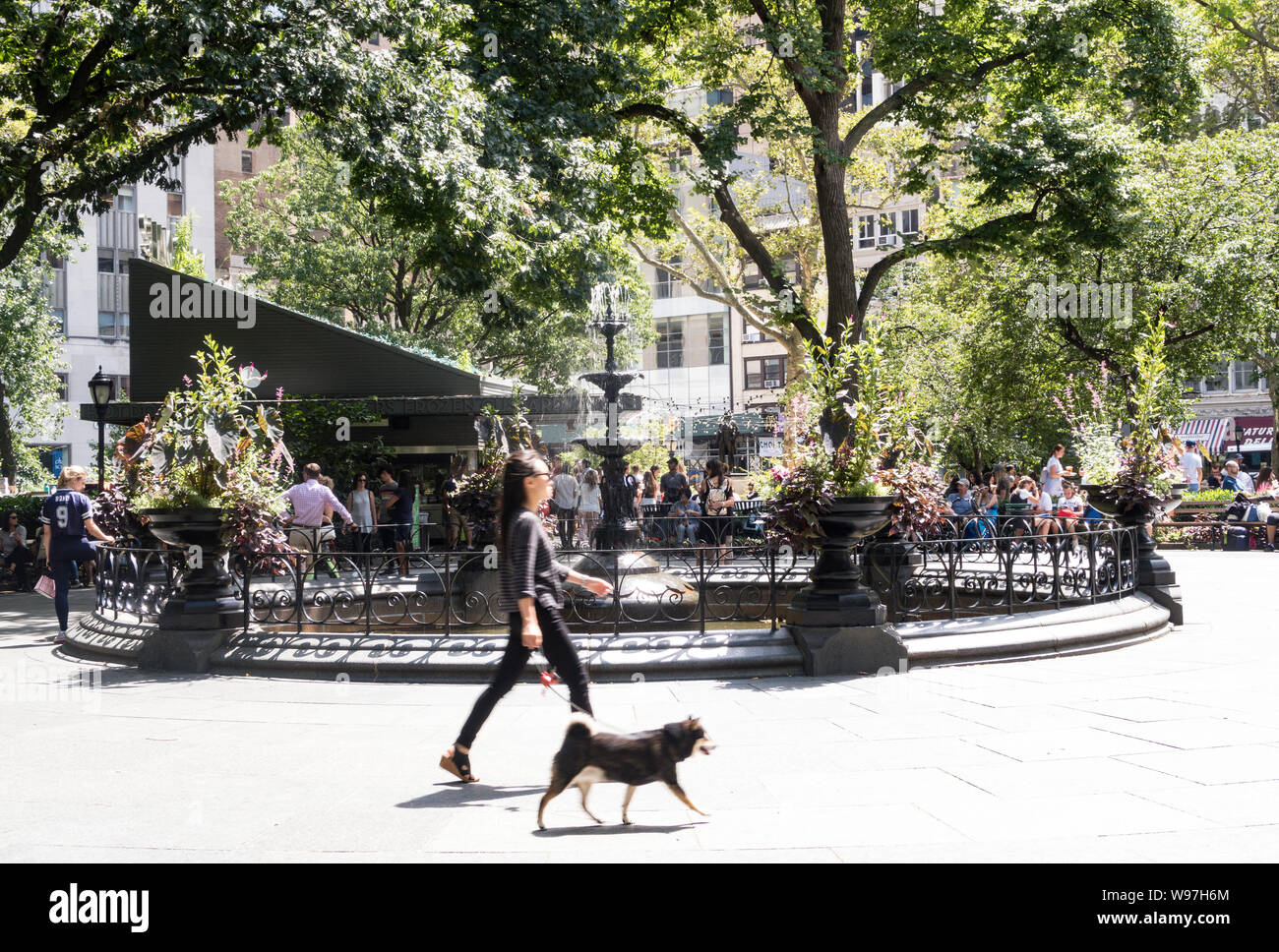 Madison Square Park is at Fifht Avenue and 23nd Street, NYC, USA Stock Photo