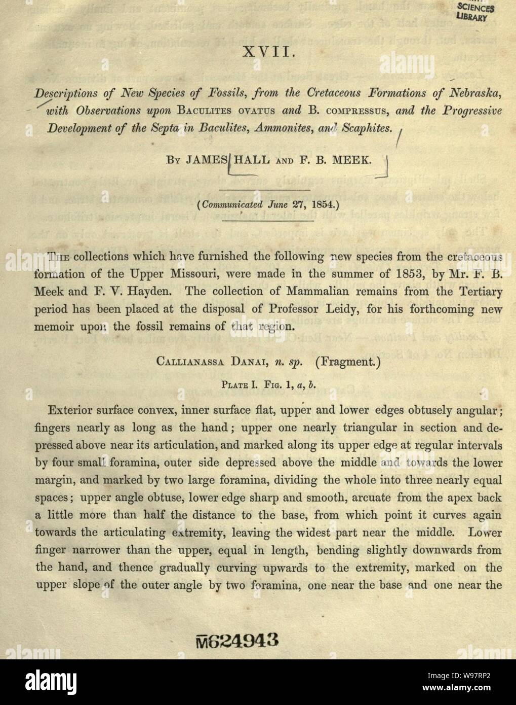 Descriptions of new species of fossils Stock Photo Alamy