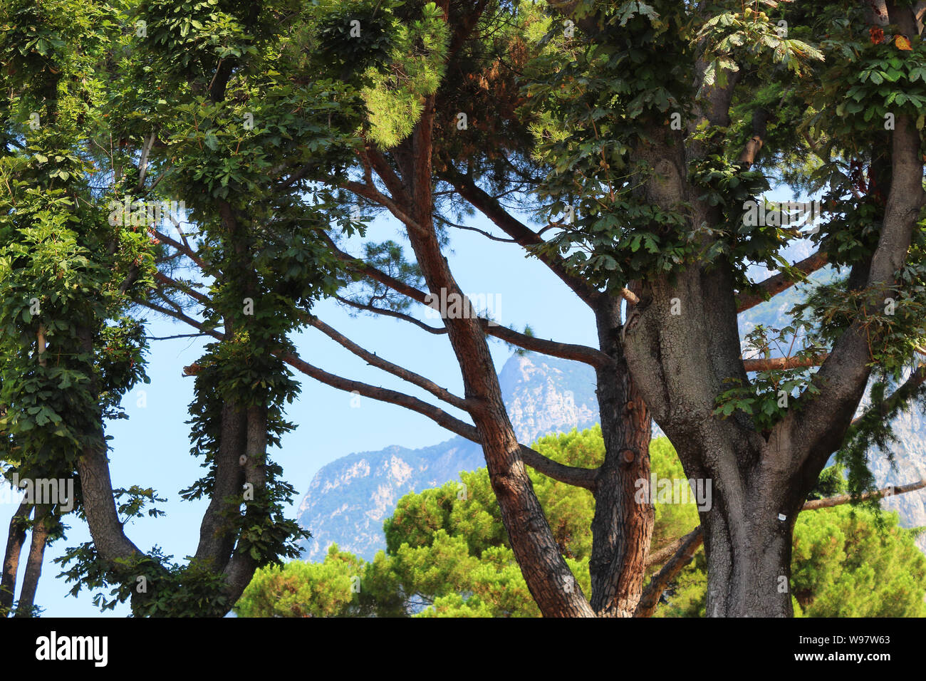 Park in bright sunny view hi-res stock photography and images - Alamy