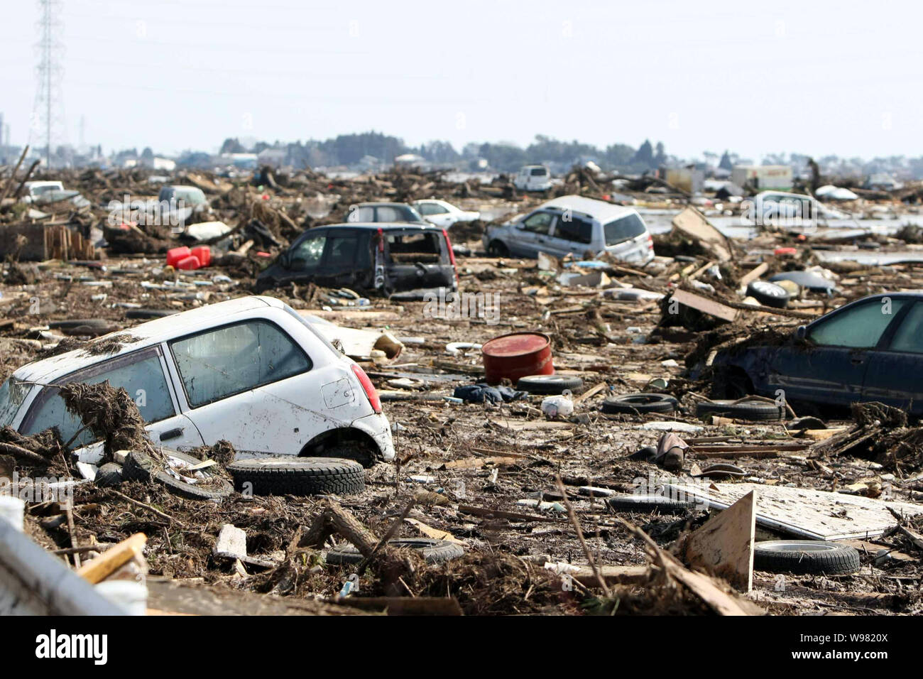 Japan tsunami deaths