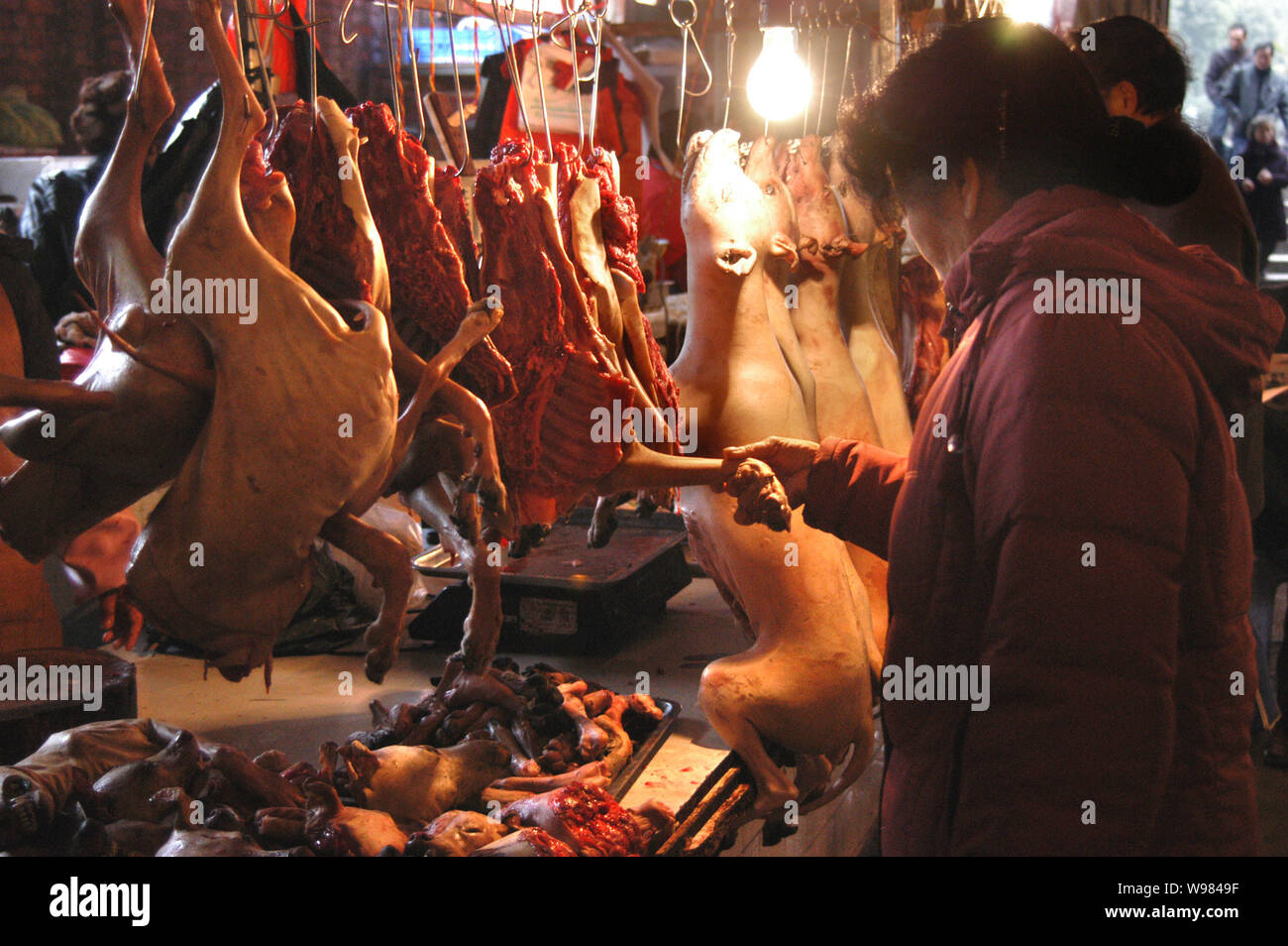 --File--Dog meat is sold at a market in Guiyang, southwest Chinas Guizhou province, 20 December 2009.   Animal activists have scored an unusually swif Stock Photo