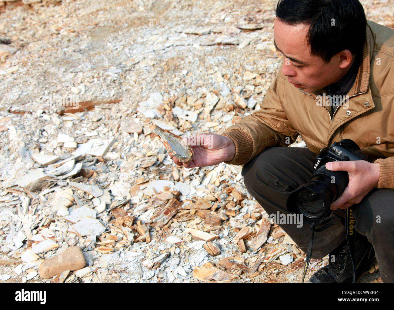 A Chinese paleontologist checks a plant fossil in Xiuning county, Huangshan city, east Chinas Anhui Province, February 18, 2011.   Paleontologists in Stock Photo