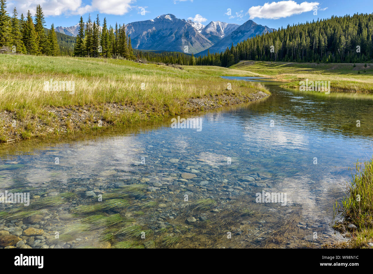 Spring Creek - A close-up wide-Angle view of a crystal-clear mountain creek at base of Mt. Astley, Banff National Park, Alberta, Canada. Stock Photo