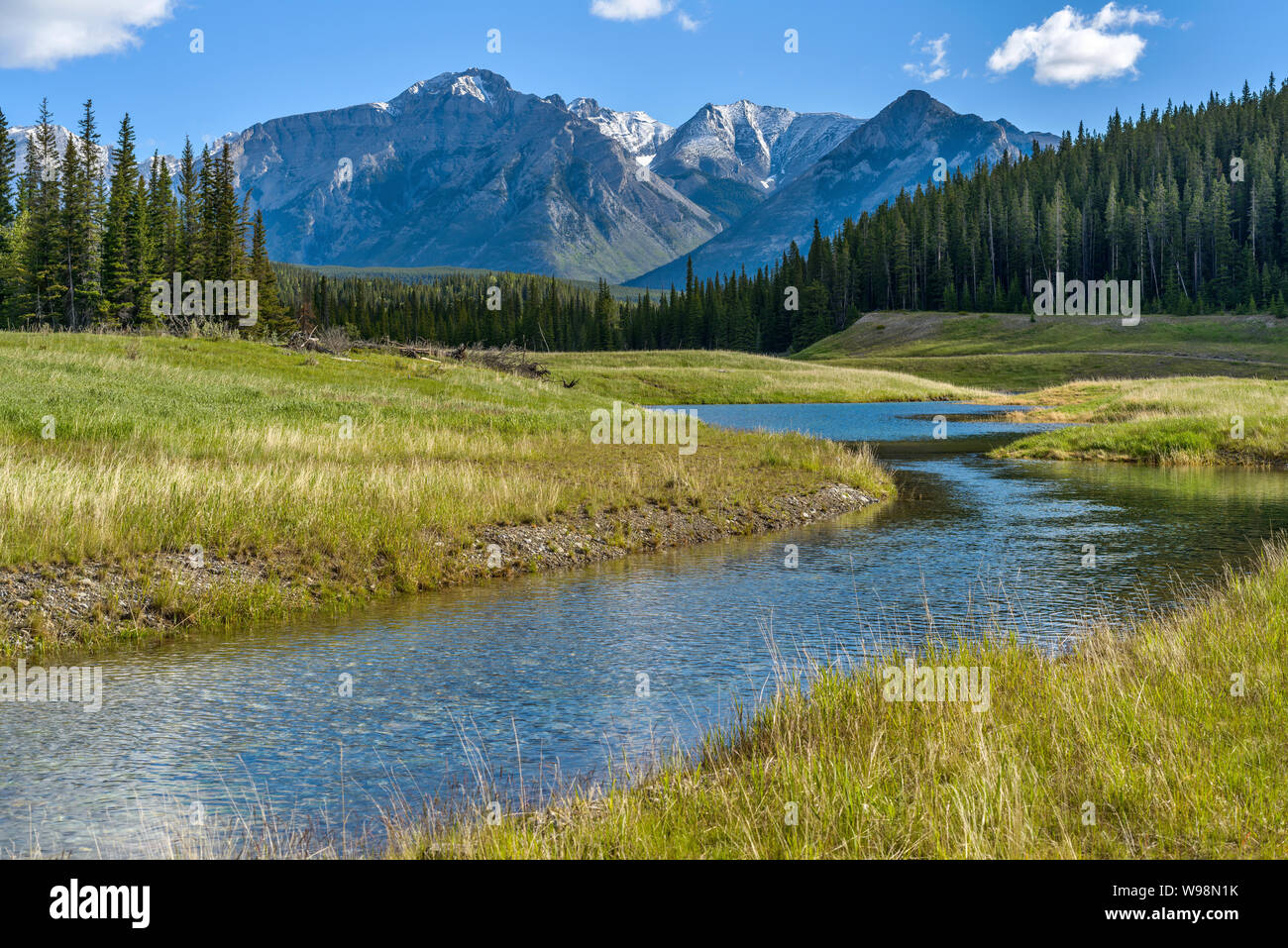 Mountain Creek - A Spring morning view of a clear creek winding through green meadow and dense forest at base of Mt. Astley, Banff National Park, AB. Stock Photo