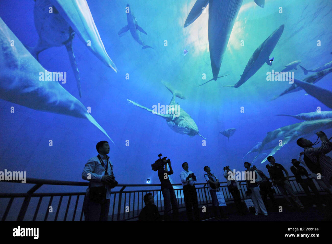 --FILE--Visitors watch a holographic movie of whales at the Yantai ...
