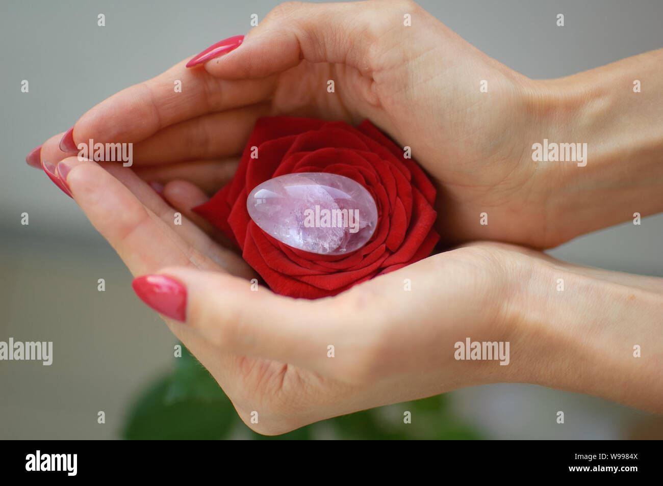 Indoors photo of female hand holding a yoni egg and red rose. The flower as  a symbol of menstruation. Transparent violet amethyst crystal for vumfit  Stock Photo - Alamy