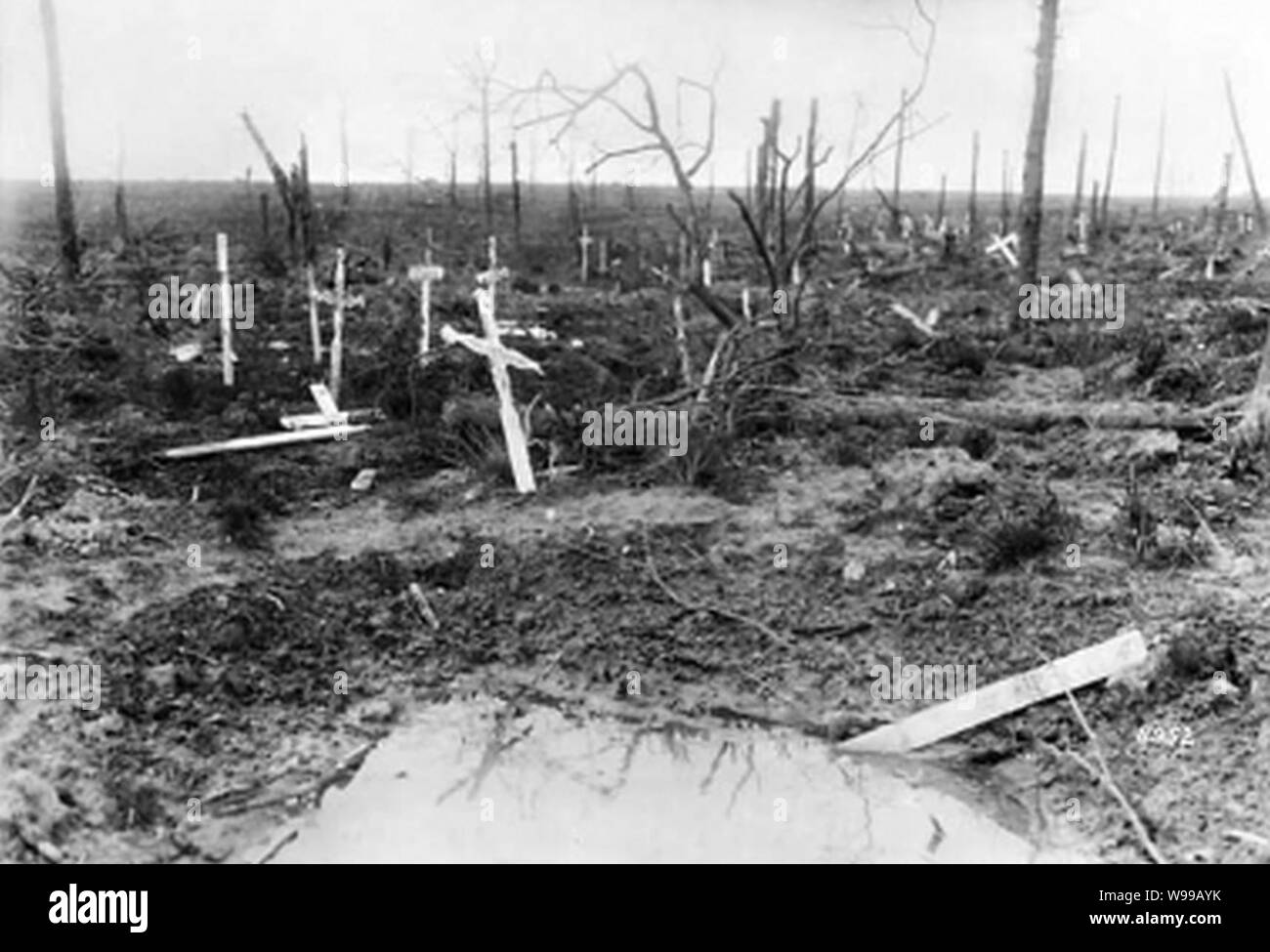Deutscher Soldatenfriedhof Koelberg 4 Stock Photo Alamy