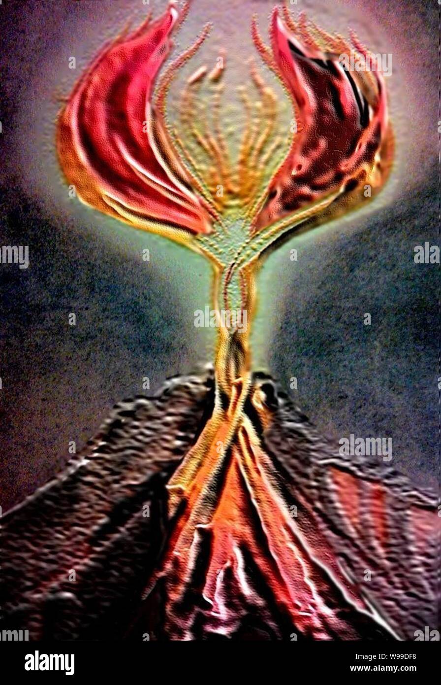 Deva Table Mountain Stock Photo Alamy